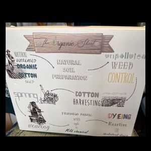 Linen Closet GO Green 100% Organic Cotton Queen Sheet Set 4 PC Ivory NIB